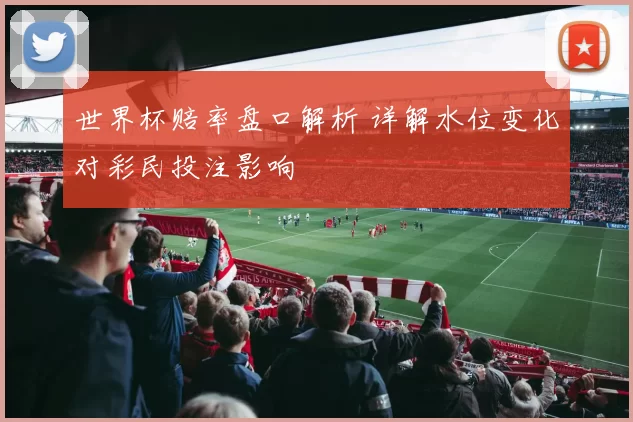 世界杯赔率盘口解析 详解水位变化对彩民投注影响