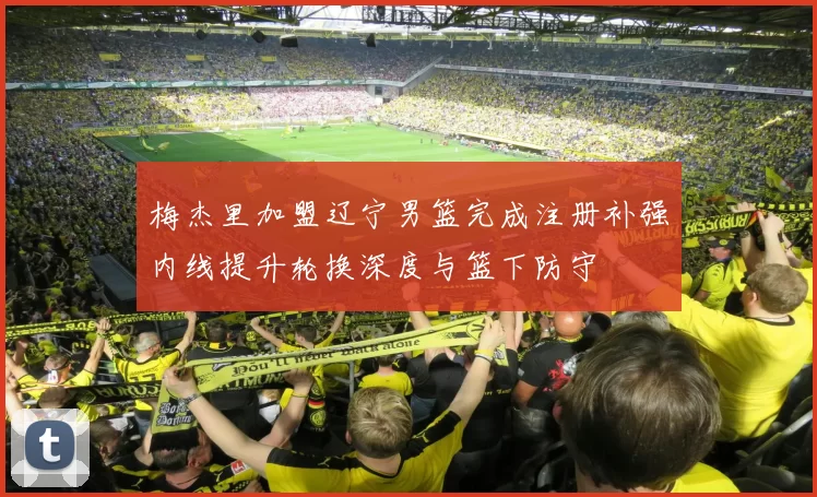 梅杰里加盟辽宁男篮完成注册补强内线提升轮换深度与篮下防守