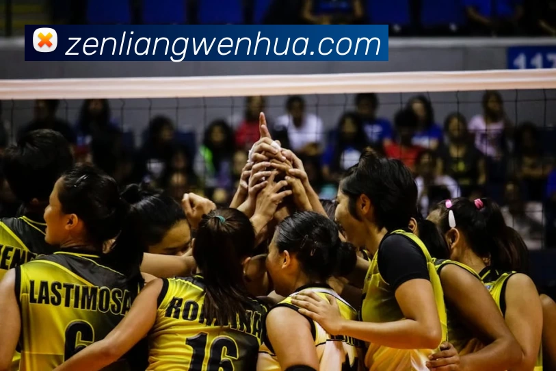 emc易倍·(中国)体育官方网站服务体系